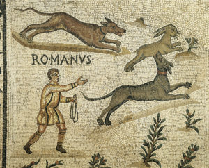 Mosaico con representación de caza de liebre con perros en época romana
