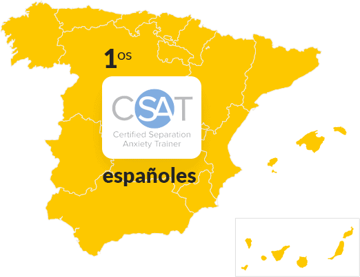 Logo de especialistas en el trabajo con perros con ansiedad por separación sobre la figura del mapa de España