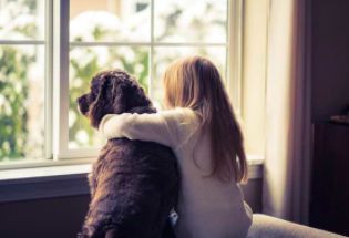 Perro y humana - Ansiedad por hiperapego