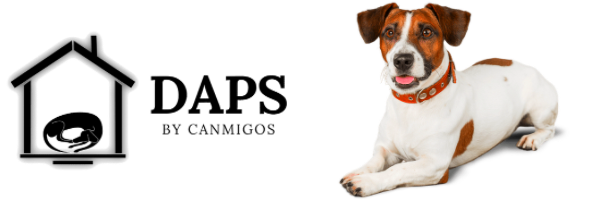 Método DAPS® - Jack Russell con ansiedad por separación