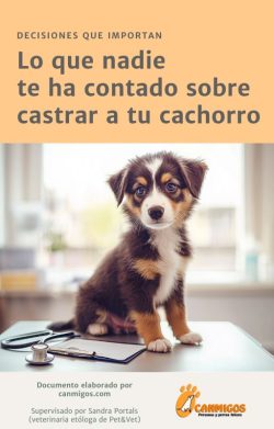 Portada eBook castración en perros