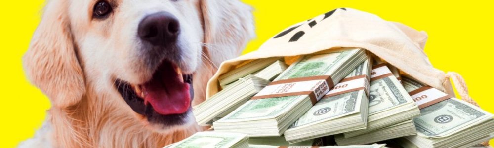 ¿Cuál es el precio de un educador canino? - Golden Retriever