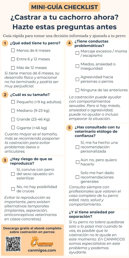 Miniguía con checklist sobre castrar a tu cachorro