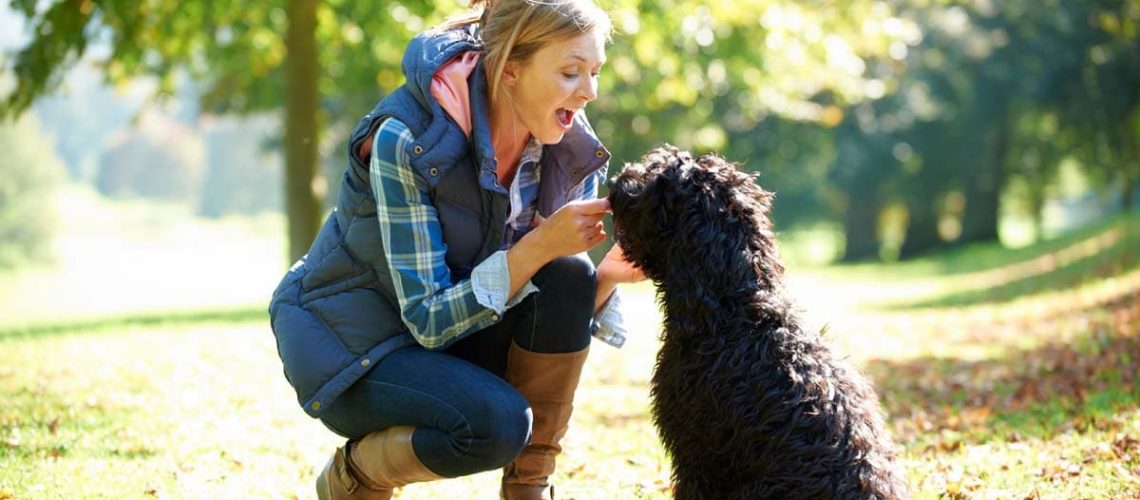 Mujer-interactuando-con-perro-de-aguas