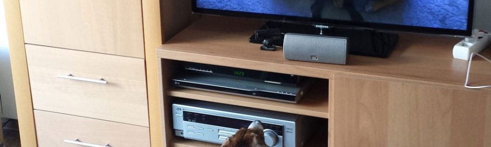 Perro viendo en la televisión una imagen de cachorros jugando