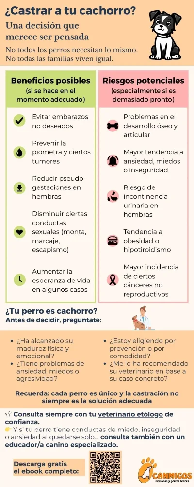 Infografía castrar a tu cachorro
