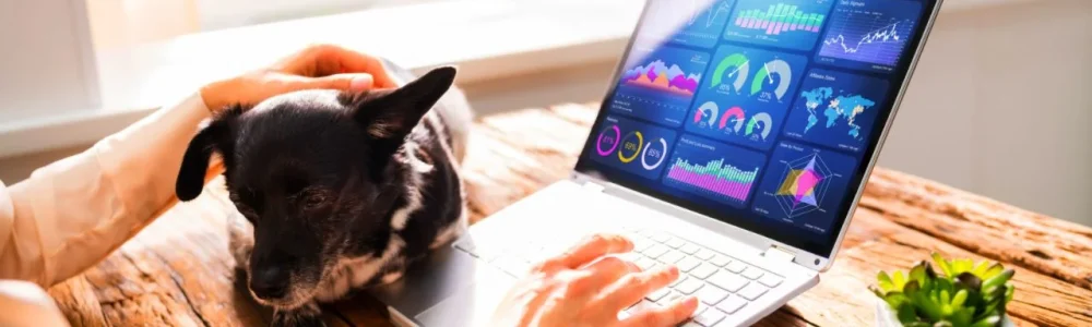 Persona trabajando en un ordenador mientras acaricia a su perro tranquilo